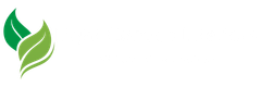 Light Canvas Logo 2
